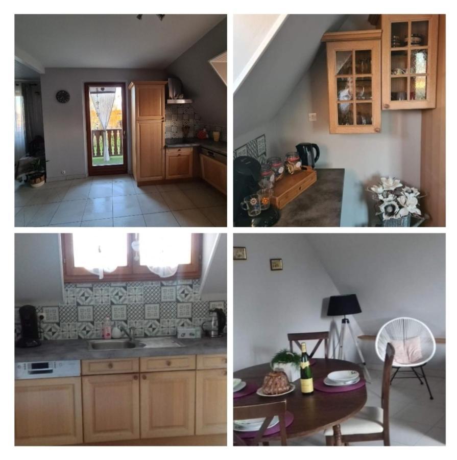Le Gite Du Kirchfeld Mussig Bagian luar foto